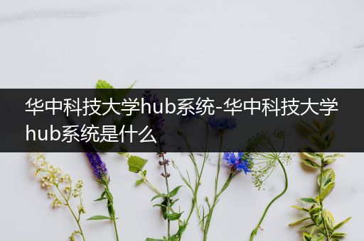 华中科技大学hub系统-华中科技大学hub系统是什么