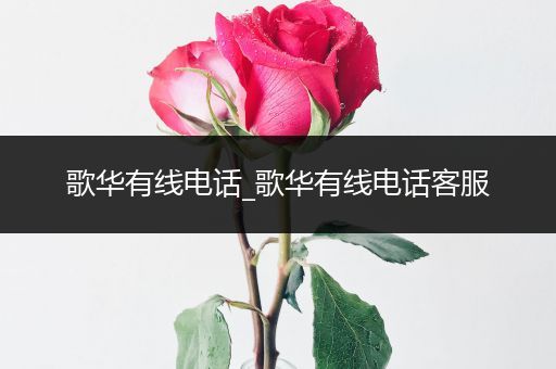 歌华有线电话_歌华有线电话客服