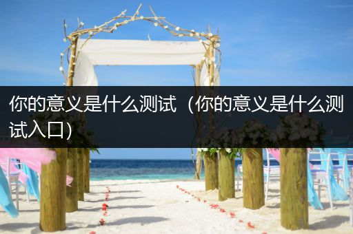 你的意义是什么测试(你的意义是什么测试入口)