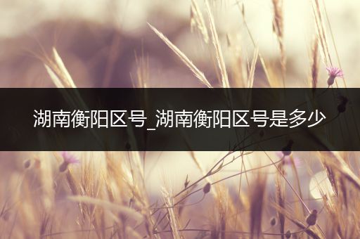 湖南衡阳区号_湖南衡阳区号是多少