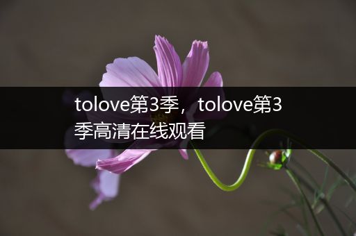 tolove第3季，tolove第3季高清在线观看