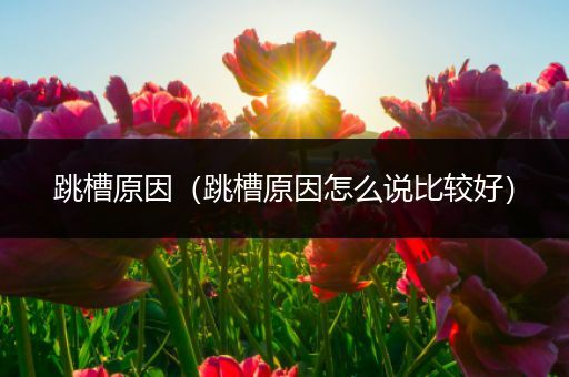 跳槽原因(跳槽原因怎么说比较好)