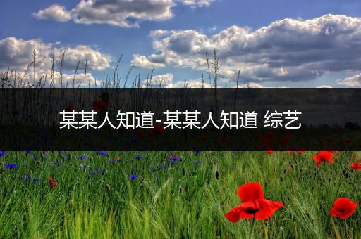 某某人知道-某某人知道 综艺