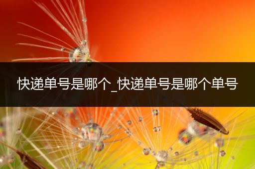 快递单号是哪个_快递单号是哪个单号