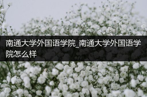 南通大学外国语学院_南通大学外国语学院怎么样