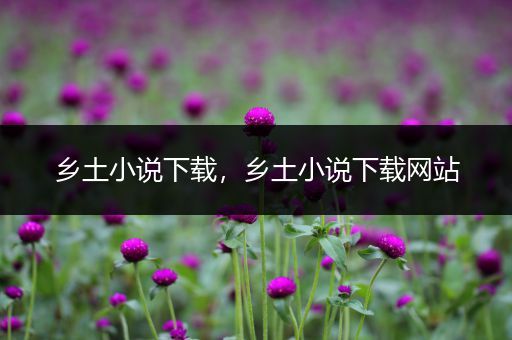 乡土小说下载,乡土小说下载网站