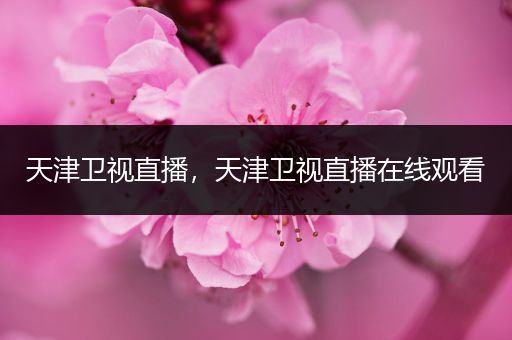 天津卫视直播,天津卫视直播在线观看