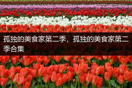 孤独的美食家第二季,孤独的美食家第二季合集