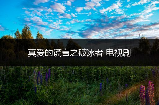 真爱的谎言之破冰者 电视剧