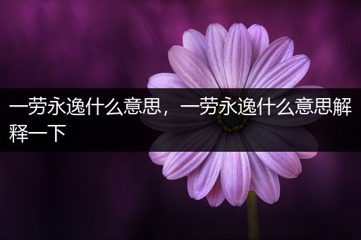一劳永逸什么意思,一劳永逸什么意思解释一下