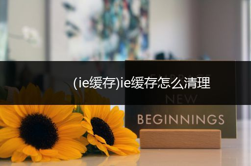 (ie缓存)ie缓存怎么清理