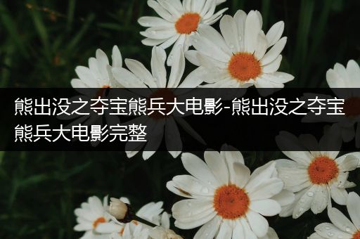 熊出没之夺宝熊兵大电影-熊出没之夺宝熊兵大电影完整