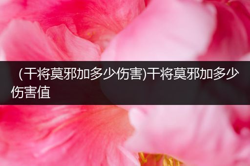 (干将莫邪加多少伤害)干将莫邪加多少伤害值