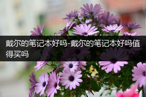 戴尔的笔记本好吗-戴尔的笔记本好吗值得买吗