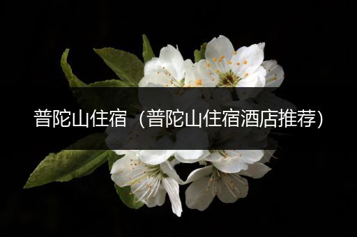 普陀山住宿(普陀山住宿酒店推荐)