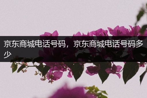 京东商城电话号码,京东商城电话号码多少