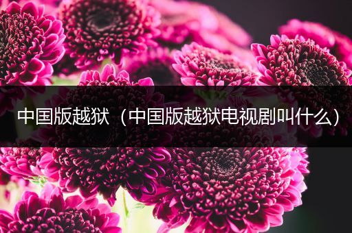 中国版越狱(中国版越狱电视剧叫什么)