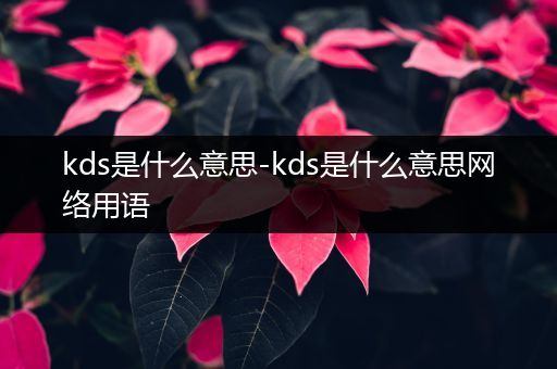 kds是什么意思-kds是什么意思网络用语