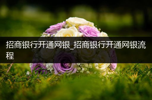 招商银行开通网银_招商银行开通网银流程