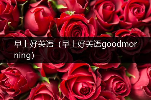 早上好英语(早上好英语goodmorning)