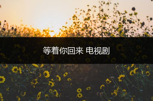 等着你回来 电视剧