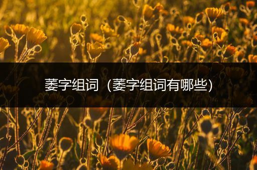 萎字组词(萎字组词有哪些)