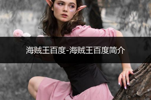 海贼王百度-海贼王百度简介