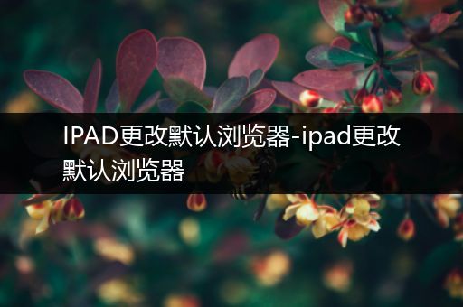 IPAD更改默认浏览器-ipad更改默认浏览器