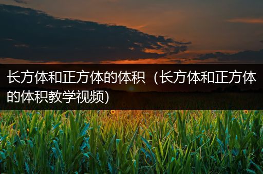 长方体和正方体的体积(长方体和正方体的体积教学视频)
