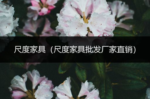 尺度家具(尺度家具批发厂家直销)