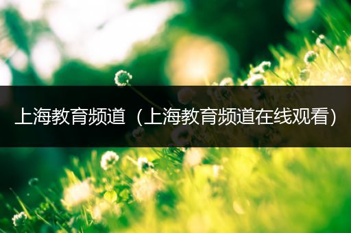 上海教育频道(上海教育频道在线观看)