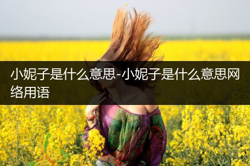 小妮子是什么意思-小妮子是什么意思网络用语