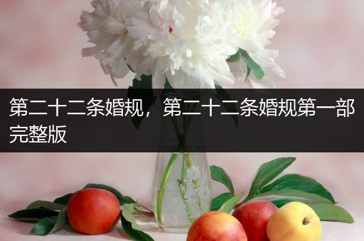 第二十二条婚规,第二十二条婚规第一部完整版