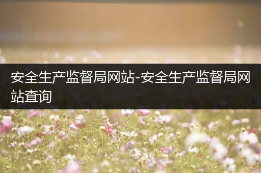安全生产监督局网站-安全生产监督局网站查询