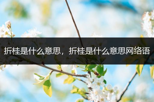 折桂是什么意思,折桂是什么意思网络语