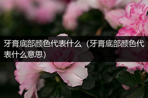 牙膏底部颜色代表什么(牙膏底部颜色代表什么意思)