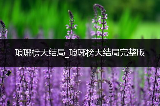 琅琊榜大结局_琅琊榜大结局完整版
