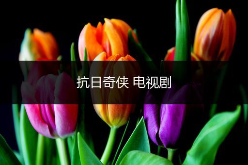 抗日奇侠 电视剧