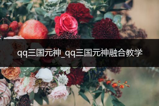 qq三国元神_qq三国元神融合教学