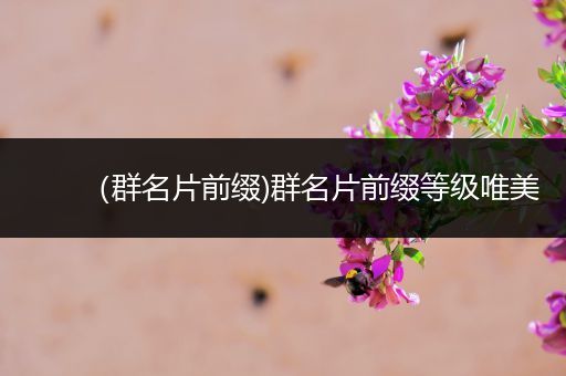(群名片前缀)群名片前缀等级唯美