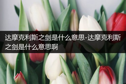 达摩克利斯之剑是什么意思-达摩克利斯之剑是什么意思啊