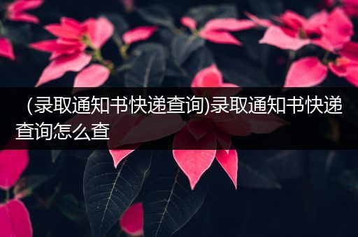 (录取通知书快递查询)录取通知书快递查询怎么查