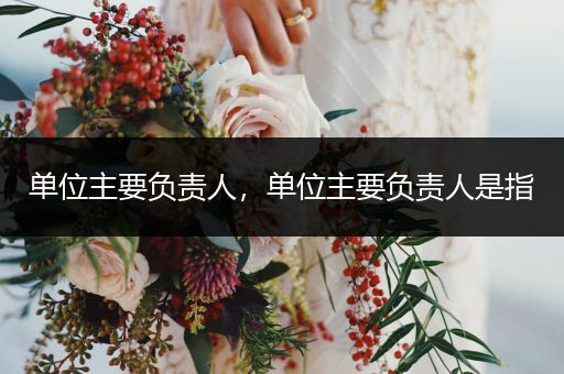 单位主要负责人,单位主要负责人是指