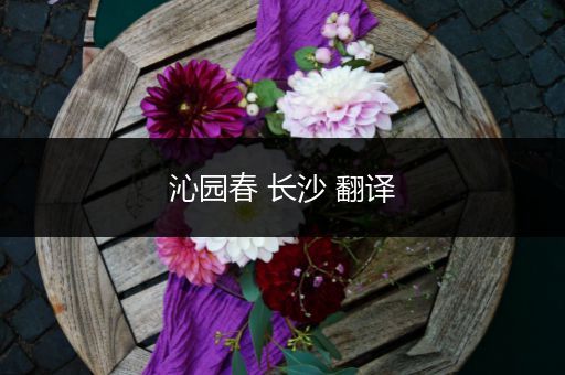 沁园春 长沙 翻译