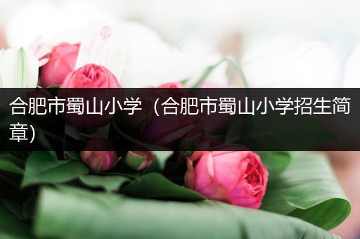 合肥市蜀山小学(合肥市蜀山小学招生简章)