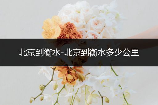 北京到衡水-北京到衡水多少公里