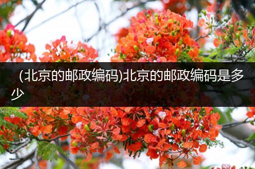 (北京的邮政编码)北京的邮政编码是多少