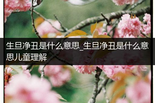 生旦净丑是什么意思_生旦净丑是什么意思儿童理解