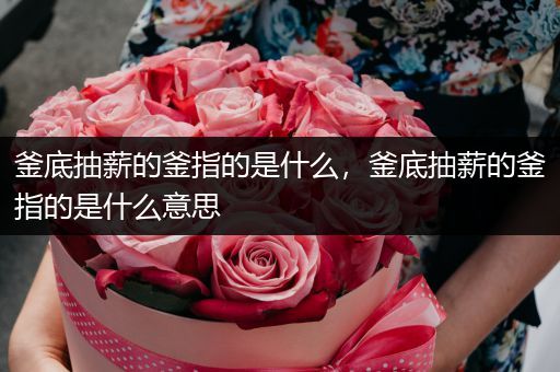 釜底抽薪的釜指的是什么,釜底抽薪的釜指的是什么意思