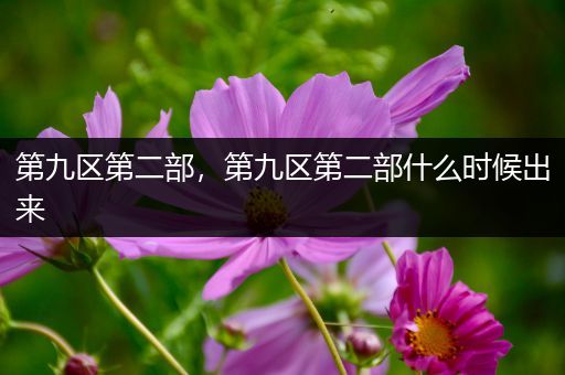 第九区第二部,第九区第二部什么时候出来